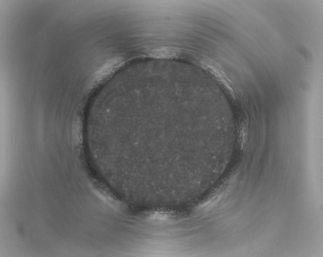 X0000115040303200911161533