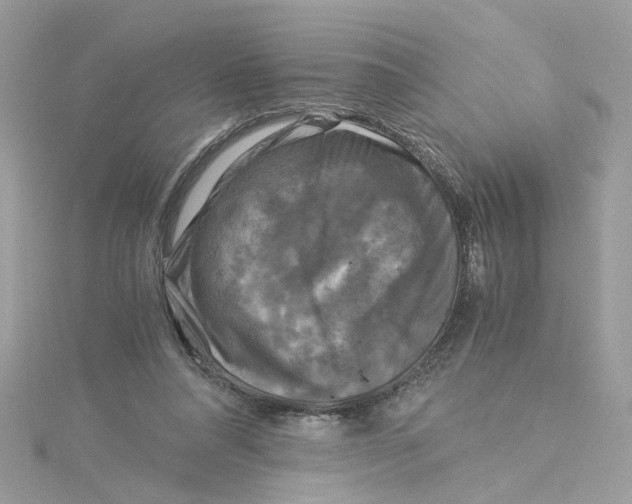 X0000115040304200911161533