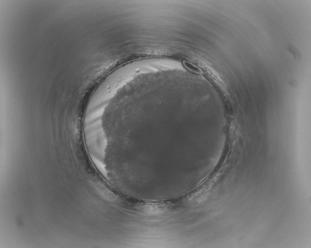 X0000115040305200911161533