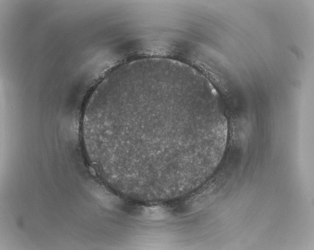 X0000115040309200911161533