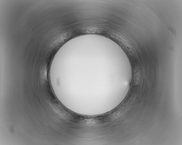 X0000115040310200911161533