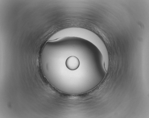 X0000115040313200911161532