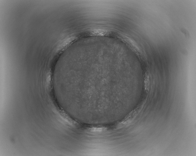 X0000115040314200911161532