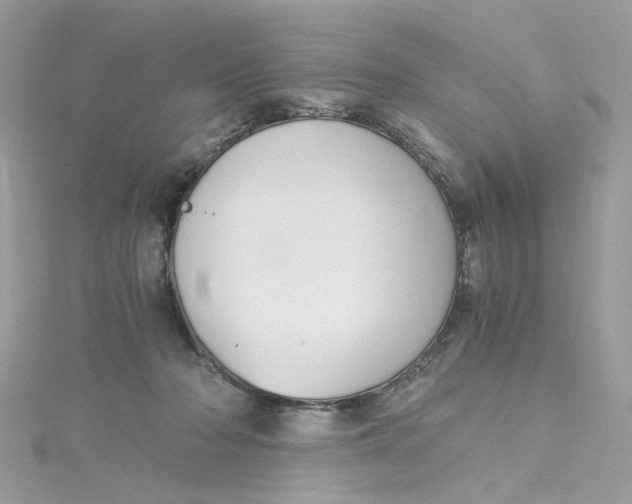 X0000115040318200911161532