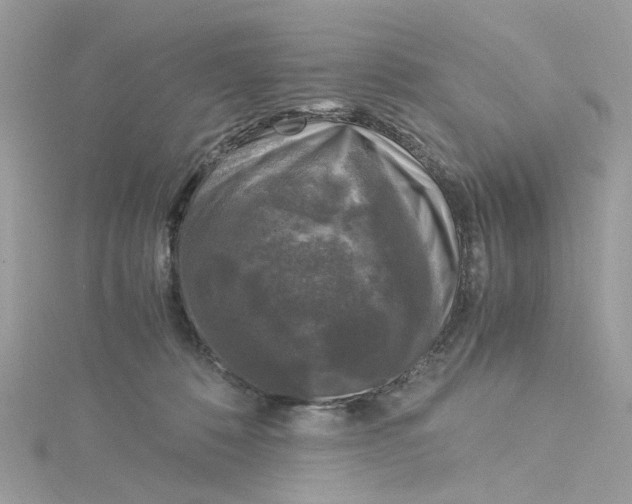 X0000115040320200911161532