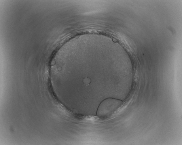 X0000115040321200911161532