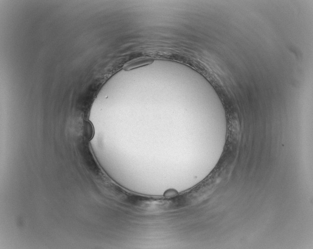 X0000115040323200911161532