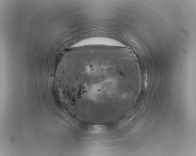 X0000115040324200911161532