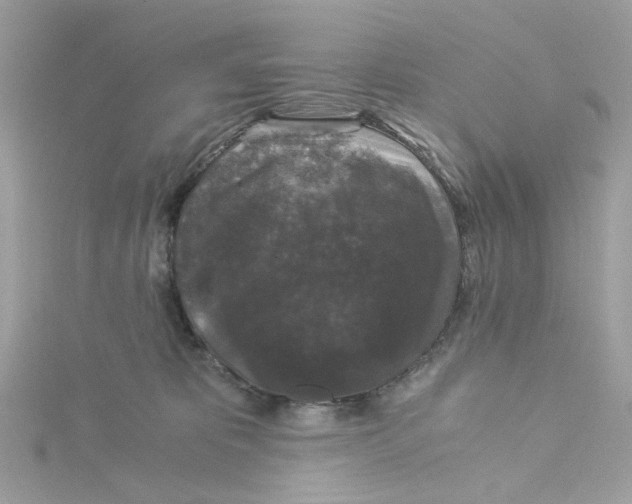 X0000115040325200911161532