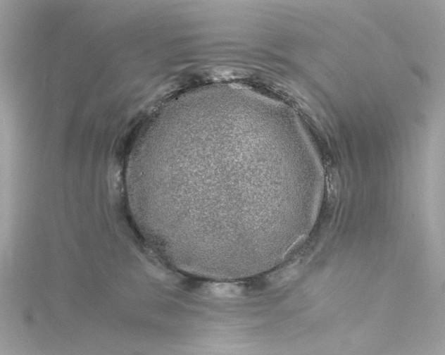 X0000115040327200911161532