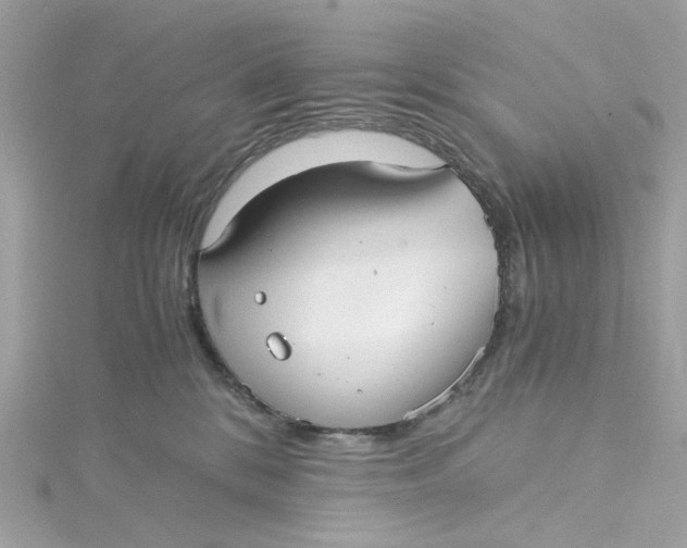 X0000115040328200911161532