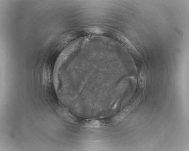 X0000115040330200911161532