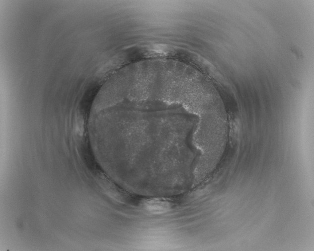 X0000115040331200911161532