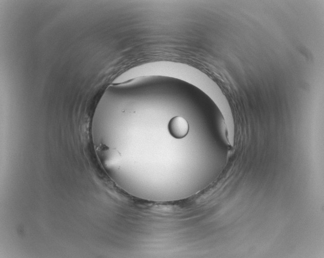 X0000115040332200911161532