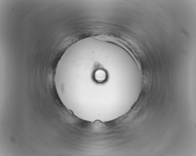 X0000115040333200911161532