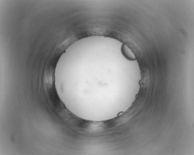 X0000115040334200911161532