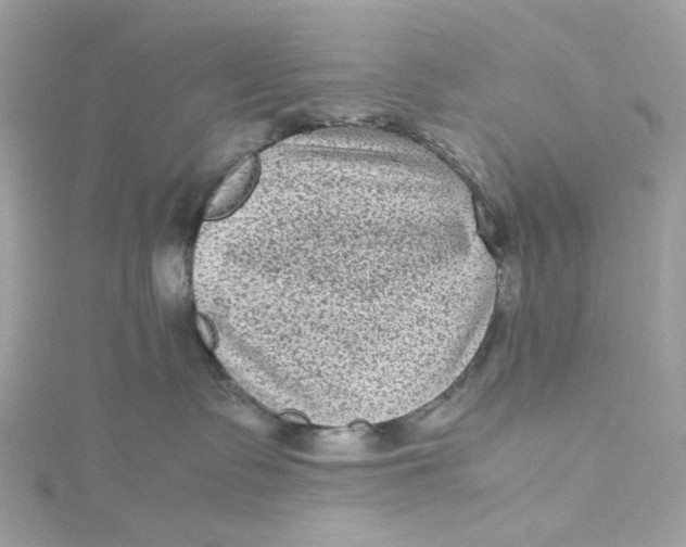 X0000115040335200911161532