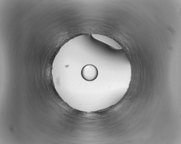 X0000115040336200911161532