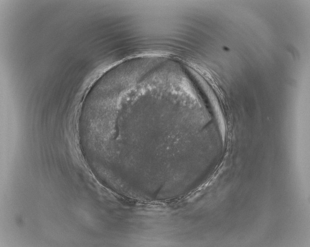 X0000115040337200911161532