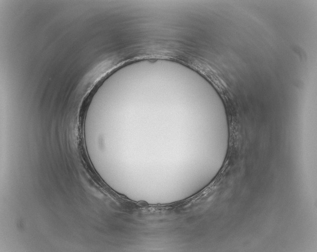 X0000115040338200911161532