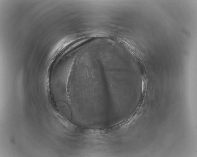 X0000115040339200911161532