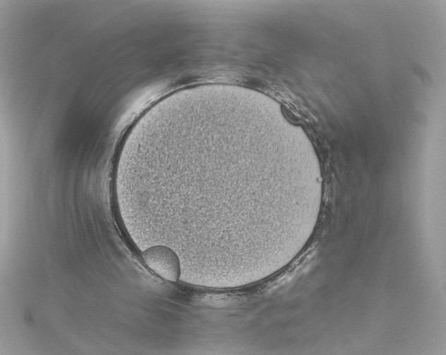 X0000115040341200911161532