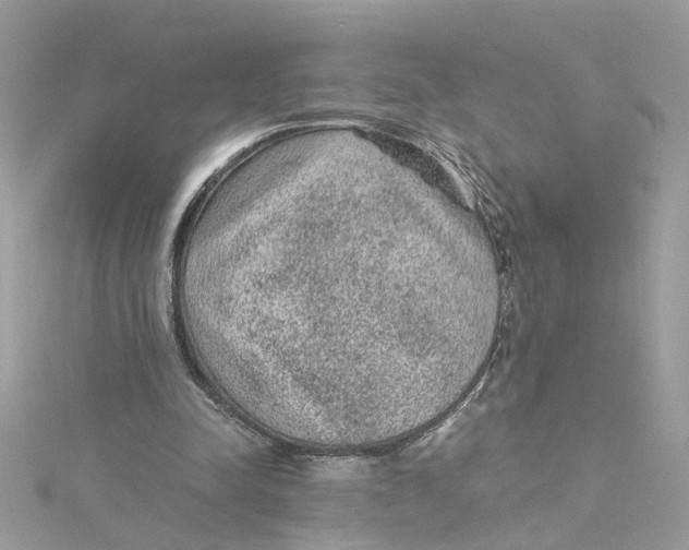 X0000115040342200911161532