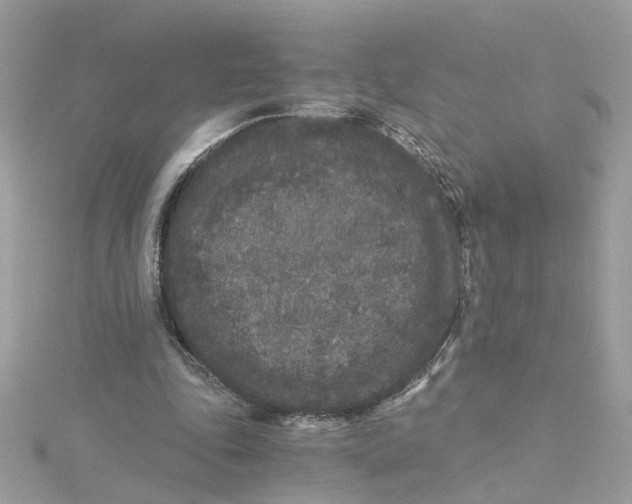 X0000115040343200911161532