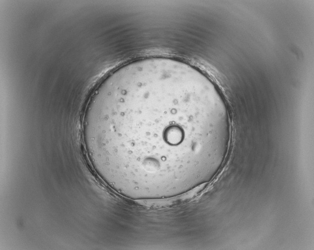 X0000115040345200911161532