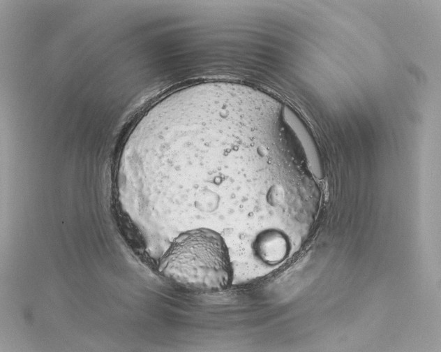 X0000115040349200911161532