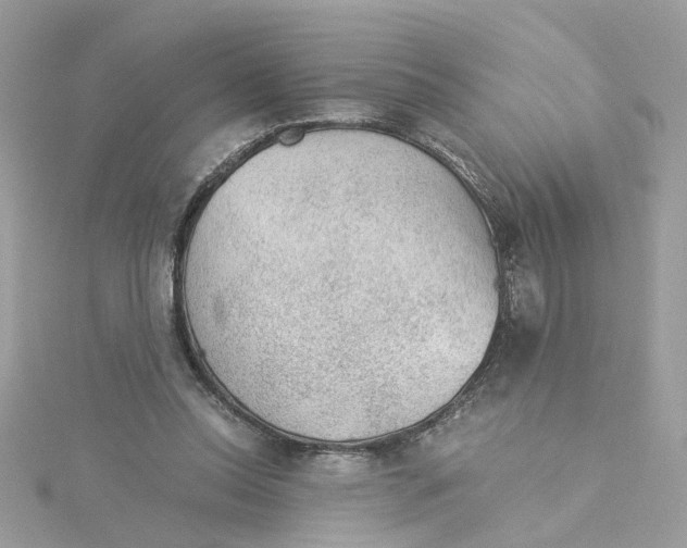 X0000115040350200911161532