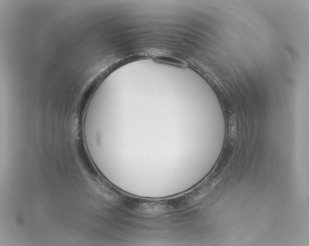 X0000115040351200911161532