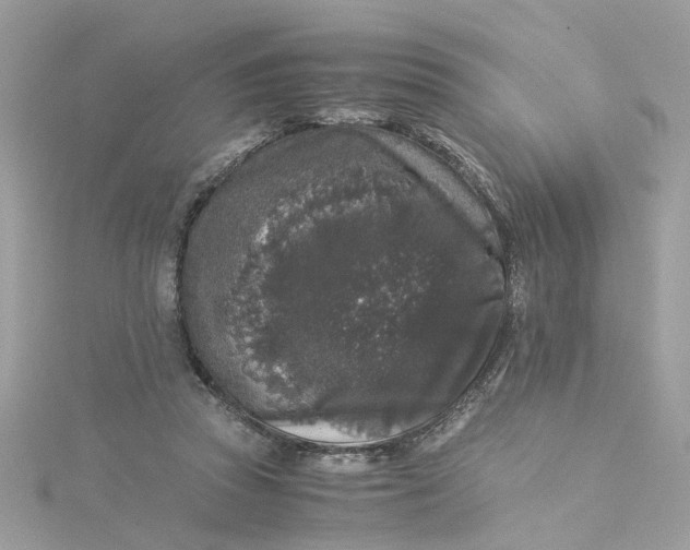 X0000115040353200911161532