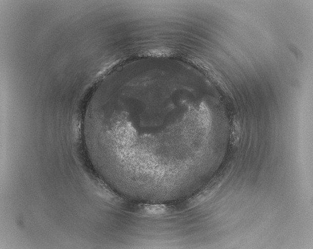 X0000115040355200911161532