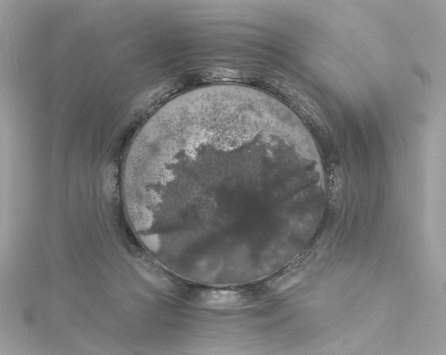 X0000115040361200911161532