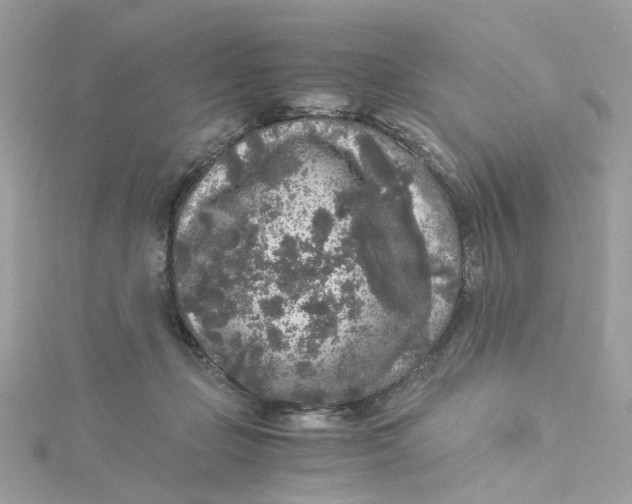 X0000115040365200911161532