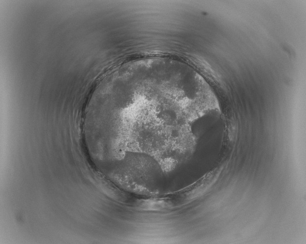 X0000115040366200911161532