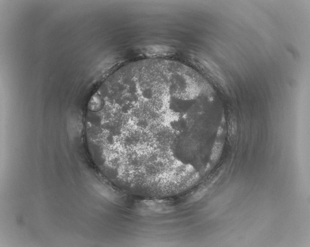 X0000115040367200911161532