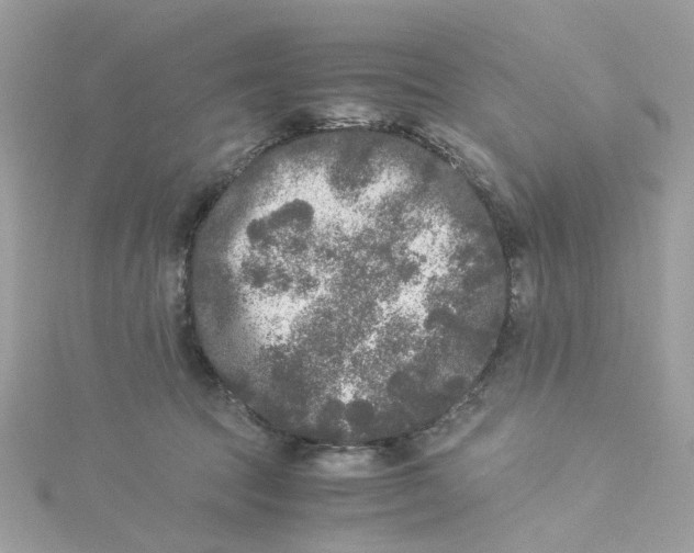 X0000115040369200911161532