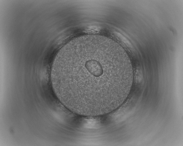 X0000115040370200911161532