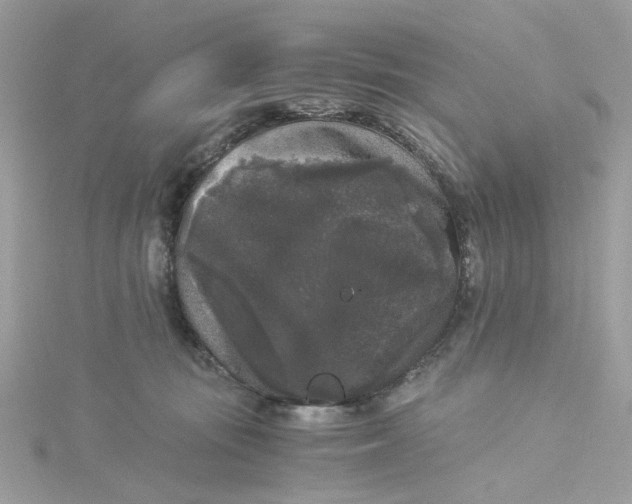 X0000115040371200911161532