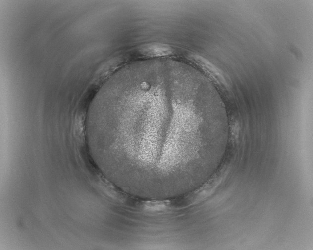 X0000115040373200911161532