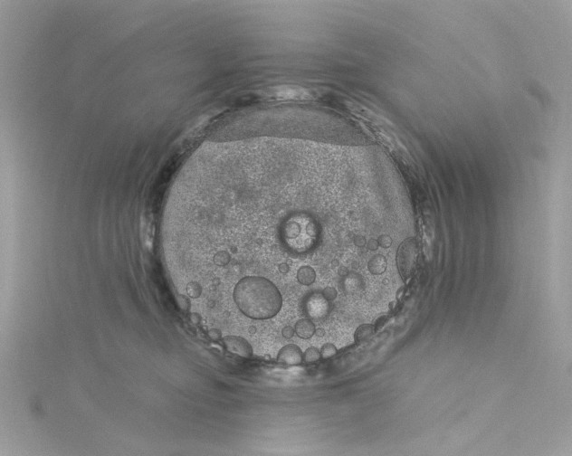 X0000115040374200911161532