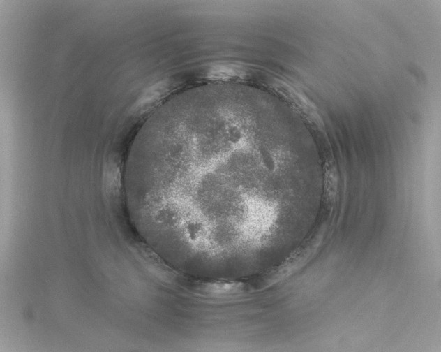 X0000115040375200911161532