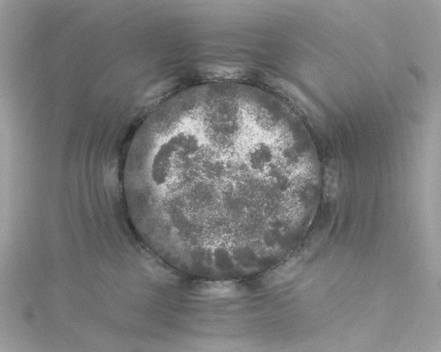 X0000115040377200911161532