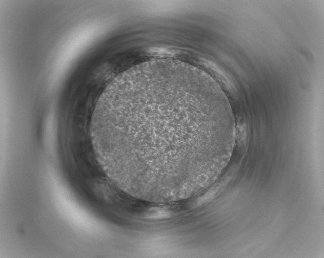 X0000115040381200911161532