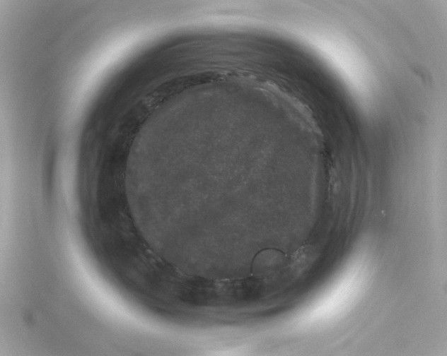 X0000115040383200911161532