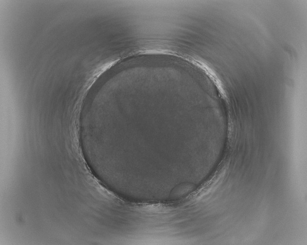 X0000115040385200911161532