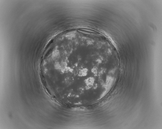 X0000115040386200911161532