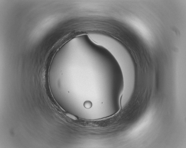 X0000115040387200911161532